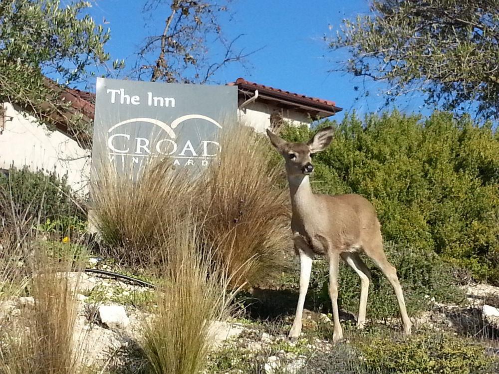 Inn Croad Vineyards - The 3*