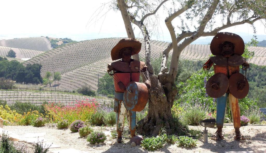 Croad Vineyards - The