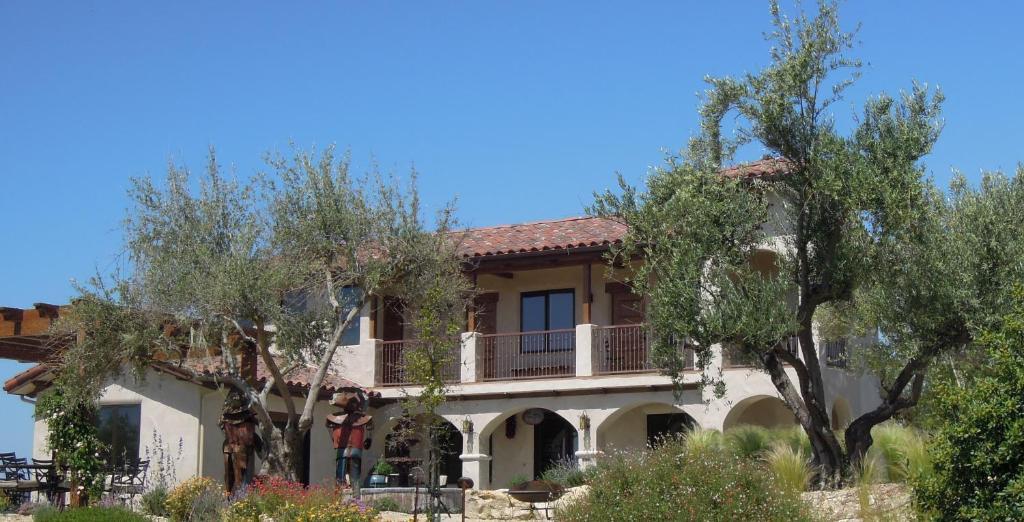 Inn Croad Vineyards - The Templeton