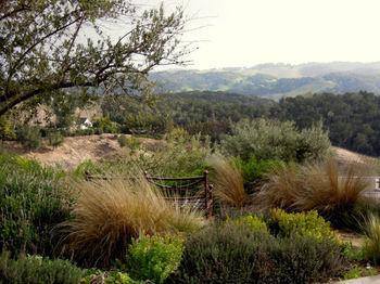 Croad Vineyards - The Templeton