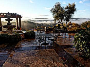 Croad Vineyards - The