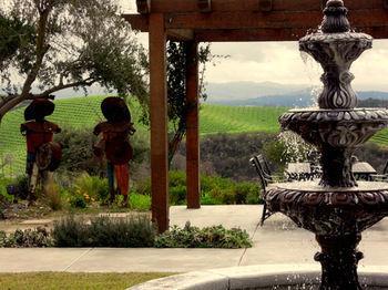 Croad Vineyards - The